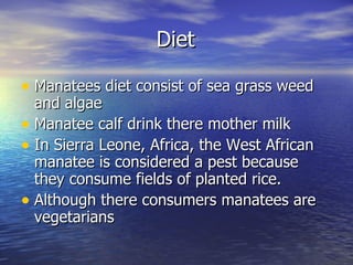 Manatees | PPT
