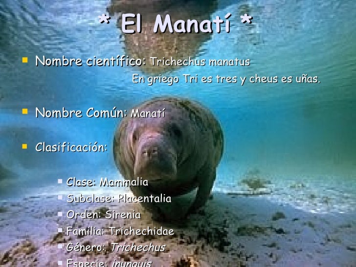 Cual Es El Nombre Cientifico Del Agua