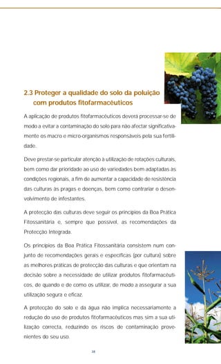 2.3 Proteger a qualidade do solo da poluição
com produtos fitofarmacêuticos
A aplicação de produtos fitofarmacêuticos deverá processar-se de
modo a evitar a contaminação do solo para não afectar significativa-
mente os macro e micro-organismos responsáveis pela sua fertili-
dade.
Deve prestar-se particular atenção à utilização de rotações culturais,
bem como dar prioridade ao uso de variedades bem adaptadas às
condições regionais, a fim de aumentar a capacidade de resistência
das culturas às pragas e doenças, bem como contrariar o desen-
volvimento de infestantes.
A protecção das culturas deve seguir os princípios da Boa Prática
Fitossanitária e, sempre que possível, as recomendações da
Protecção Integrada.
Os princípios da Boa Prática Fitossanitária consistem num con-
junto de recomendações gerais e específicas (por cultura) sobre
as melhores práticas de protecção das culturas e que orientam na
decisão sobre a necessidade de utilizar produtos fitofarmacêuti-
cos, de quando e de como os utilizar, de modo a assegurar a sua
utilização segura e eficaz.
A protecção do solo e da água não implica necessariamente a
redução do uso de produtos fitofarmacêuticos mas sim a sua uti-
lização correcta, reduzindo os riscos de contaminação prove-
nientes do seu uso.
38
 