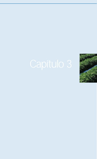 Capítulo 3
 