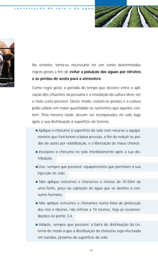 No entanto, torna-se necessário ter em conta determinadas
regras gerais a fim de evitar a poluição das águas por nitratos
e as perdas de azoto para a atmosfera.
Como regra geral, o período de tempo que decorre entre a apli-
cação dos efluentes da pecuária e a instalação da cultura deve ser
o mais curto possível. Deste modo, evitam-se perdas e a cultura
pode utilizar em maior quantidade os nutrientes que aqueles con-
têm. Pela mesma razão, devem ser incorporados no solo logo
após a sua distribuição à superfície do terreno.
n Aplique o chorume à superfície do solo com recurso a equipa-
mentos que funcionem a baixa pressão, a fim de reduzir as per-
das de azoto por volatilização, e a libertação de maus cheiros.
n Incorpore o chorume no solo imediatamente após a sua dis-
tribuição.
n Use, sempre que possível, equipamentos que permitam a sua
injecção no solo.
n Não aplique estrumes e chorumes a menos de 35-50m de
uma fonte, poço ou captação de água que se destine a con-
sumo humano.
n Não aplique estrumes e chorumes numa faixa de protecção
dos rios e ribeiras, não inferior a 10 metros. Veja as recomen-
dações no ponto 3.4.
n Adapte, sempre que possível, a barra de distribuição da cis-
terna de modo a que a distribuição do chorume seja efectuada
em bandas, próximo da superfície do solo.
c o n s e r v a ç ã o d o s o l o e d a á g u a
55
 