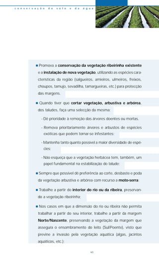 n Promova a conservação da vegetação ribeirinha existente
e a instalação de nova vegetação, utilizando as espécies cara-
cterísticas da região (salgueiros, amieiros, ulmeiros, freixos,
choupos, tamujo, sevadilha, tamargueiras, etc.) para protecção
das margens.
n Quando tiver que cortar vegetação, arbustiva e arbórea,
dos taludes, faça uma selecção da mesma:
- Dê prioridade à remoção das árvores doentes ou mortas.
- Remova prioritariamente árvores e arbustos de espécies
exóticas que podem tornar-se infestantes;
- Mantenha tanto quanto possível a maior diversidade de espé-
cies;
- Não esqueça que a vegetação herbácea tem, também, um
papel fundamental na estabilização do talude;
n Sempre que possível dê preferência ao corte, desbaste e poda
da vegetação arbustiva e arbórea com recurso a moto-serra;
n Trabalhe a partir do interior do rio ou da ribeira, preservan-
do a vegetação ribeirinha;
n Nos casos em que a dimensão do rio ou ribeira não permita
trabalhar a partir do seu interior, trabalhe a partir da margem
Norte/Nascente, preservando a vegetação da margem que
assegura o ensombramento do leito (Sul/Poente), visto que
previne a invasão pela vegetação aquática (algas, jacintos
aquáticos, etc.);
c o n s e r v a ç ã o d o s o l o e d a á g u a
63
 