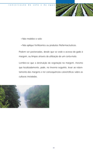 c o n s e r v a ç ã o d o s o l o e d a á g u a
65
• Não mobilize o solo;
• Não aplique fertilizantes ou produtos fitofarmacêuticos.
Podem ser pastoreadas, desde que se vede o acesso do gado à
margem, ou limpas através da utilização de um corta-mato.
Lembre-se que a destruição da vegetação na margem, mesmo
que localizadamente, pode, no Inverno seguinte, levar ao reben-
tamento das margens e ter consequências catastróficas sobre as
culturas instaladas.
 