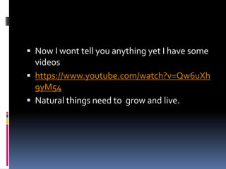  Now I wont tell you anything yet I have some
videos
https://www.youtube.com/watch?v=Qw6uXh
9yM54
Natural things need to grow and live.