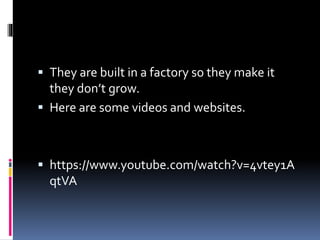  They are built in a factory so they make it
they don’t grow.
Here are some videos and websites.
https://www.youtube.com/watch?v=4vtey1A
qtVA