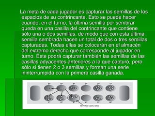 La meta de cada jugador es capturar las semillas de los espacios de su contrincante. Esto se puede hacer cuando, en el turno, la última semilla por sembrar queda en una casilla del contrincante que contiene sólo una o dos semillas, de modo que con esta última semilla sembrada hacen un total de dos o tres semillas capturadas. Todas ellas se colocarán en el almacén del extremo derecho que corresponde al jugador en turno. Éste podrá capturar también las semillas de las casillas adyacentes anteriores a la que capturó, pero sólo si tienen 2 o 3 semillas y forman una serie ininterrumpida con la primera casilla ganada.  