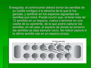 Enseguida, el contrincante deberá tomar las semillas de su casilla contigua a la derecha de la que le fue ganada, y sembrar en los espacios siguientes las semillas que toma. Puede ocurrir que, al tener más de 12 semillas en un espacio, vuelva a terminar en una casilla de su oponente, de la que podrá capturar las semillas; en tal caso, el espacio de donde se tomaron las semillas se deja siempre vacío. No habrá captura si la última semilla cae en un espacio propio. 