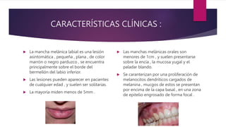 manchas melanoticas maculas labios Las mculas melanticas son que presentan un aumento de pigmentacin debido a Manchas en la piel: por