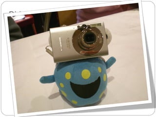 Did you like our pictures? We are very good photographers… 