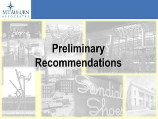 Preliminary Recommendations 