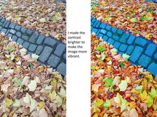 I made the
contrast
brighter to
make the
image more
vibrant.
 