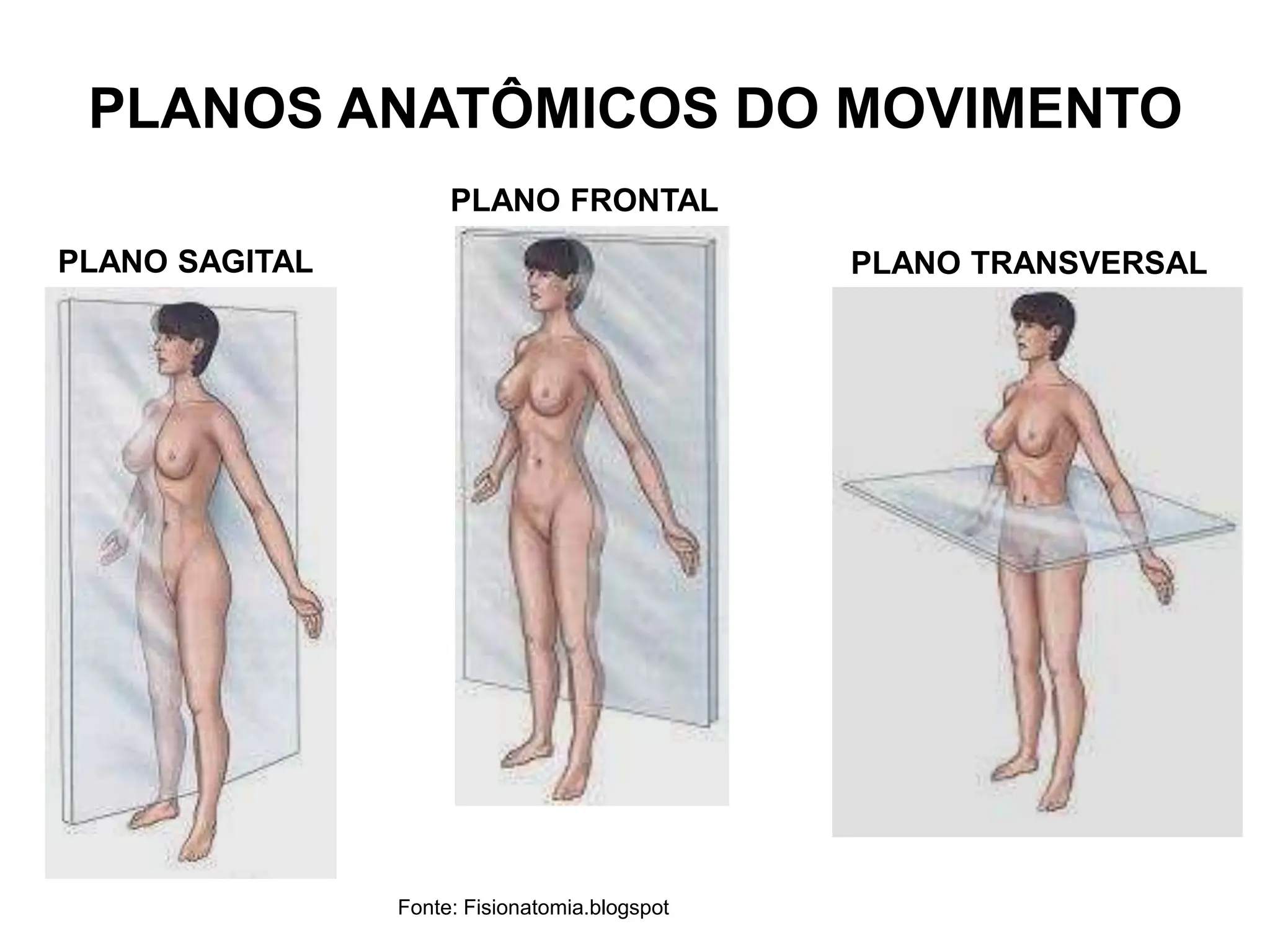 PLANOS ANATÔMICOS DO MOVIMENTO
PLANO SAGITAL
PLANO FRONTAL
PLANO TRANSVERSAL
Fonte: Fisionatomia.blogspot
 