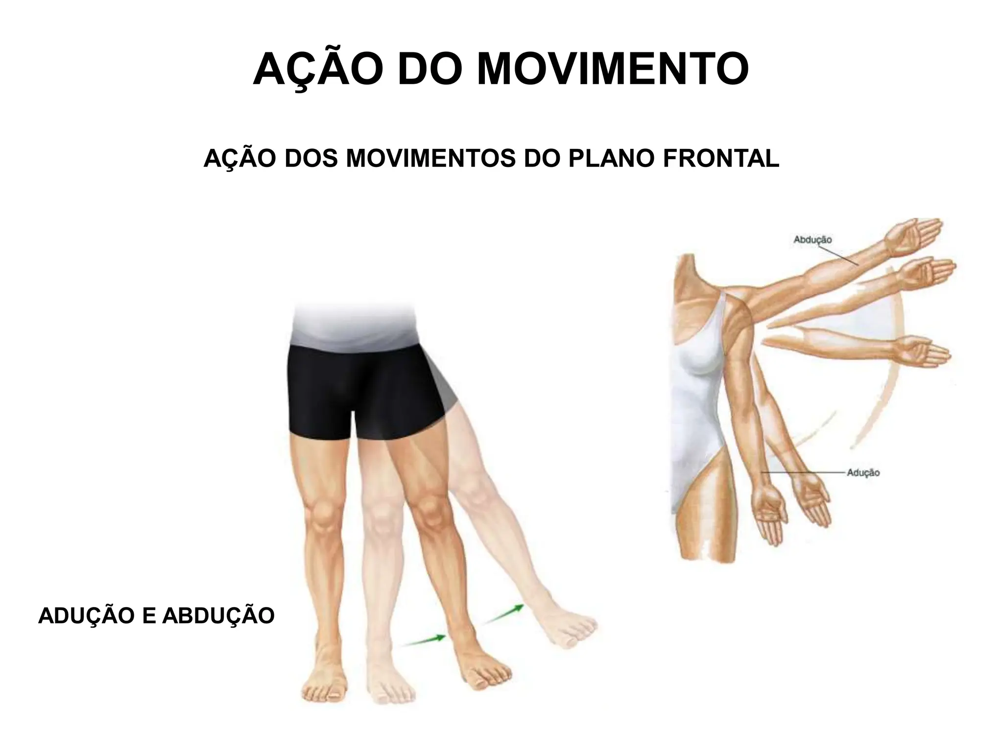 AÇÃO DOS MOVIMENTOS DO PLANO FRONTAL
ADUÇÃO E ABDUÇÃO
AÇÃO DO MOVIMENTO
 