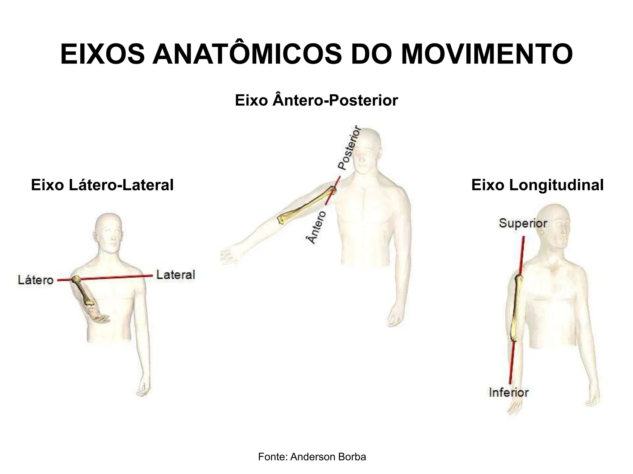 EIXOS ANATÔMICOS DO MOVIMENTO
Eixo Látero-Lateral
Eixo Ântero-Posterior
Eixo Longitudinal
Fonte: Anderson Borba
 