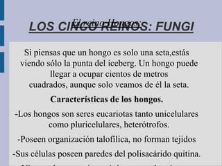 LOS       El reino Hongos:
            CINCO REINOS:               FUNGI

   Si piensas que un hongo es solo una seta,estás
  viendo sólo la punta del iceberg. Un hongo puede
          llegar a ocupar cientos de metros
    cuadrados, aunque solo veamos de él la seta.
          Características de los hongos.
-Los hongos son seres eucariotas tanto unicelulares
        como pluricelulares, heterótrofos.
 -Poseen organización talofílica, no forman tejidos
-Sus células poseen paredes del polisacárido quitina.
 
