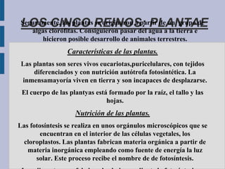 LOS CINCO REINOS: PLANTAE
 Seguramente, las plantas se originaron a partir de un grupo de
    algas clorófitas. Consiguieron pasar del agua a la tierra e
       hicieron posible desarrollo de animales terrestres.
                 Características de las plantas.
 Las plantas son seres vivos eucariotas,puricelulares, con tejidos
     diferenciados y con nutrición autótrofa fotosintética. La
 inmensamayoría viven en tierra y son incapaces de desplazarse.
 El cuerpo de las plantyas está formado por la raíz, el tallo y las
                               hojas.
                    Nutrición de las plantas.
Las fotosíntesis se realiza en unos orgánulos microscópicos que se
        encuentran en el interior de las células vegetales, los
 cloroplastos. Las plantas fabrican materia orgánica a partir de
   materia inorgánica empleando como fuente de energía la luz
      solar. Este proceso recibe el nombre de de fotosíntesis.
 