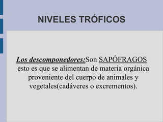 NIVELES TRÓFICOS



Los descomponedores:Son SAPÓFRAGOS
esto es que se alimentan de materia orgánica
    proveniente del cuerpo de animales y
    vegetales(cadáveres o excrementos).
 