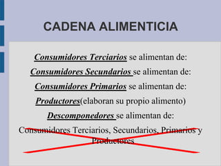 CADENA ALIMENTICIA

    Consumidores Terciarios se alimentan de:
   Consumidores Secundarios se alimentan de:
    Consumidores Primarios se alimentan de:
    Productores(elaboran su propio alimento)
       Descomponedores se alimentan de:
Consumidores Terciarios, Secundarios, Primarios y
                  Productores
 