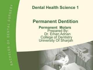 Dental Health Science 1 Permanent Dentition Permanent  Molars     Prepared By:   Dr. Eman Adnan   College of Dentistry    University Of Sharjah  