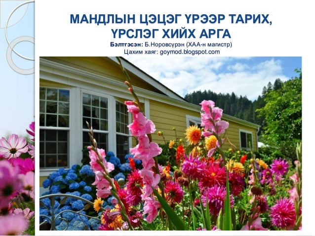 Мандлын цэцэг үрээр тарих арга
