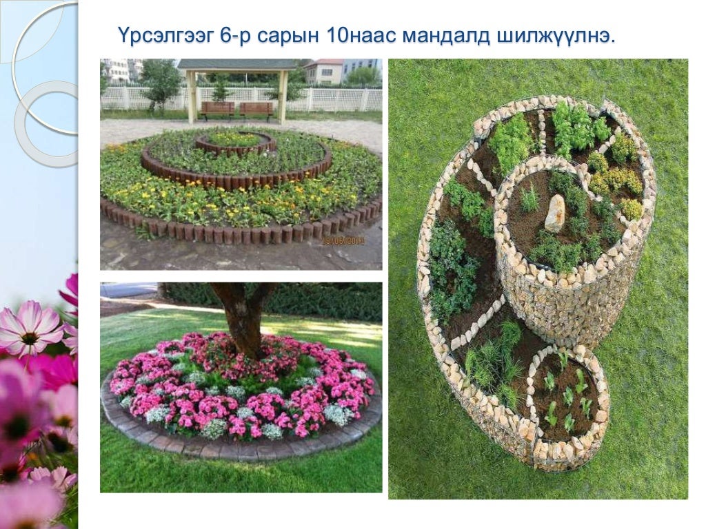 Мандлын цэцэг үрээр тарих арга