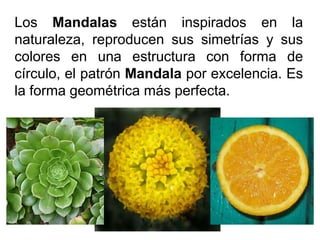 Los Mandalas están inspirados en la naturaleza, reproducen sus simetrías y sus colores en una estructura con forma de círculo, el patrón Mandala por excelencia. Es la forma geométrica más perfecta.