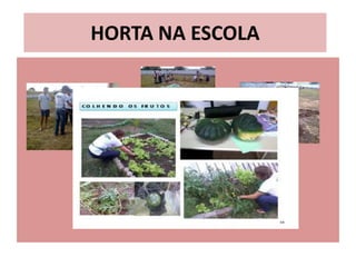 HORTA NA ESCOLA
 