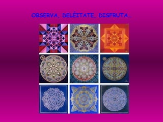 OBSERVA, DELÉITATE, DISFRUTA… 