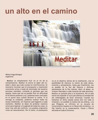 Mandala literaria no. 22