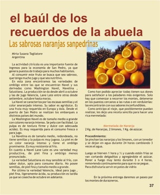 Mandala literaria no. 22