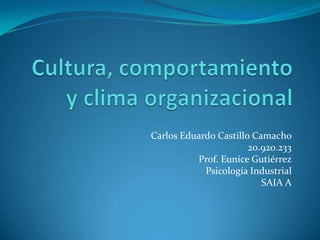 Carlos Eduardo Castillo Camacho
20.920.233
Prof. Eunice Gutiérrez
Psicología Industrial
SAIA A
 