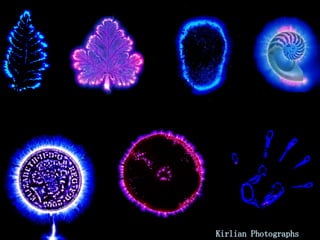 Kirlian Photographs  