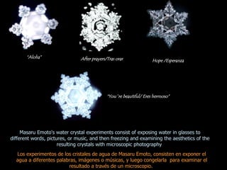 Masaru Emoto's water crystal experiments consist of exposing water in glasses to different words, pictures, or music, and then freezing and examining the aesthetics of the resulting crystals with microscopic photography   “ Aloha” After prayers/Tras orar Hope /Esperanza Los experimentos de los cristales de agua de Masaru Emoto, consisten en exponer el agua a diferentes palabras, imágenes o músicas, y luego congelarla  para examinar el resultado a través de un microscopio.  “ You´re beautiful/ Eres hermoso” 