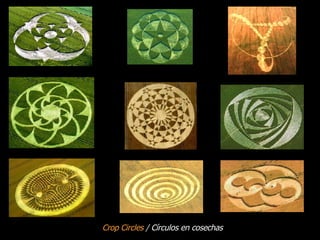 Crop Circles   /  Círculos en cosechas 
