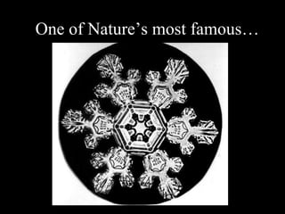 One of Nature’s most famous… 