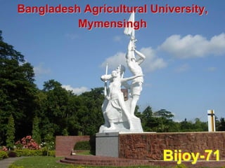 Bangladesh Agricultural University,
Mymensingh
Bijoy-71
 