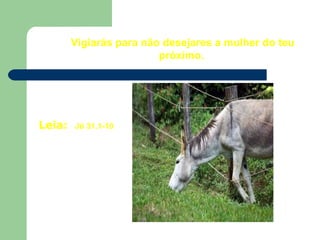 Vigiarás para não desejares a mulher do teu próximo. Leia:  Jó 31.1-10 