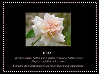 DEJA  ... que tus virtudes hablen por sí mismas y rehúsa  hablar de las flaquezas y faltas de los otros. Condena las murmuraciones, en especial las malintencionadas.  