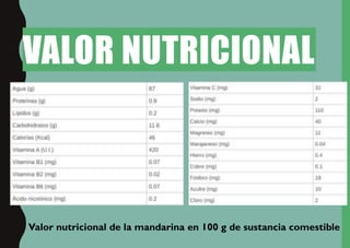 VALOR NUTRICIONAL
Valor nutricional de la mandarina en 100 g de sustancia comestible
 