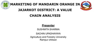 MARKETING OF MANDARIN ORANGE IN
JAJARKOT DISTRICT: A VALUE
CHAIN ANALYSIS
Presenter
SUSHMITA SHARMA
SACHIN UPADHAYAYA
Agriculture and Forestry University
Rampur chitwan
 