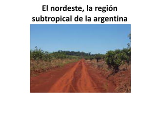 El nordeste, la región
subtropical de la argentina

 