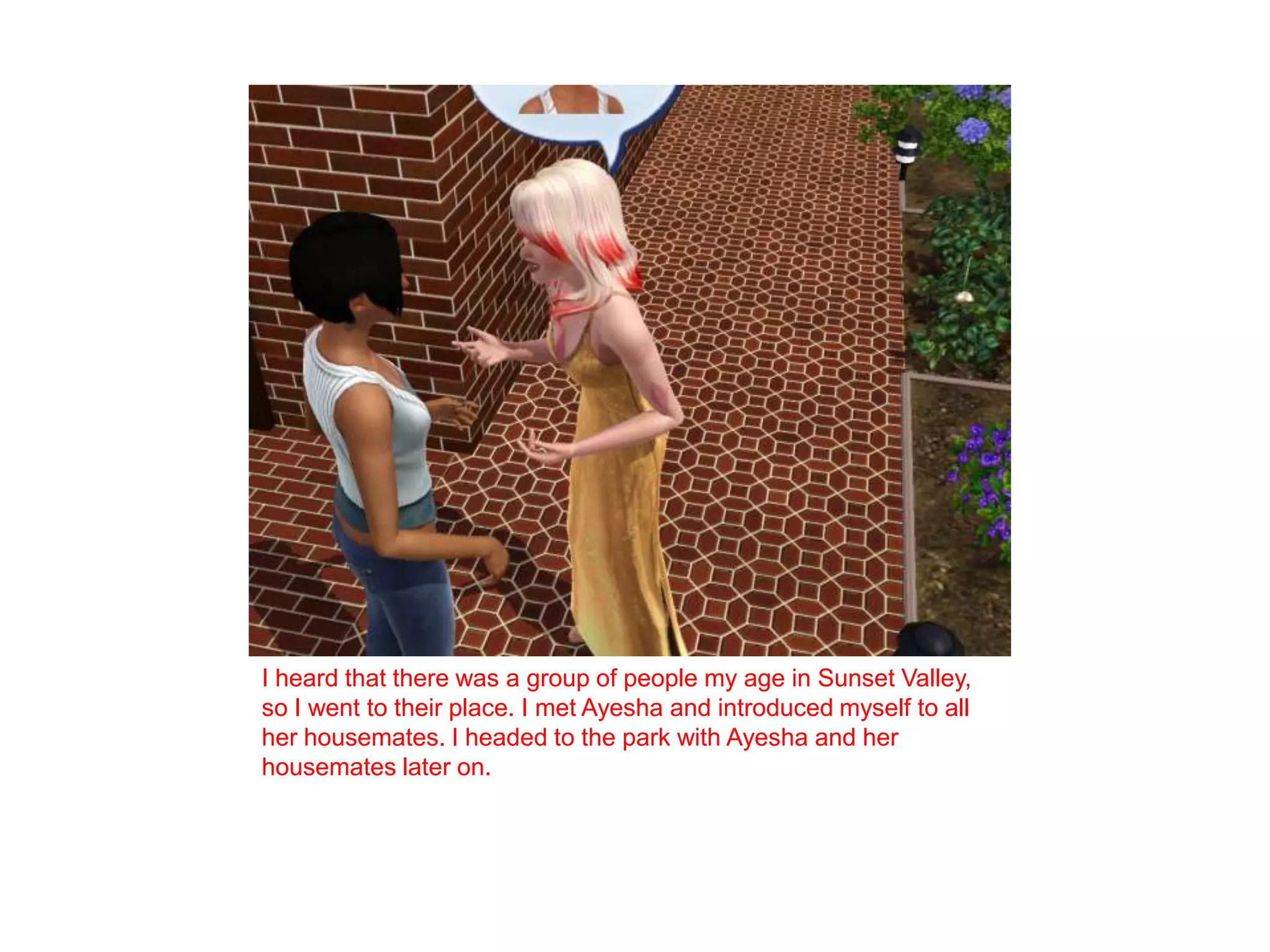 I heard that there was a group of people my age in Sunset Valley, so I went to their place. I met Ayesha and introduced myself to all her housemates. I headed to the park with Ayesha and her housemates later on. 
