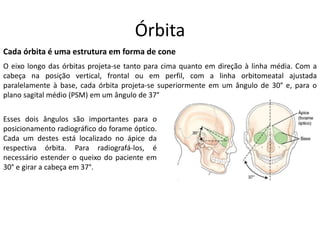 Órbita
Cada órbita é uma estrutura em forma de cone
O eixo longo das órbitas projeta-se tanto para cima quanto em direção à linha média. Com a
cabeça na posição vertical, frontal ou em perfil, com a linha orbitomeatal ajustada
paralelamente à base, cada órbita projeta-se superiormente em um ângulo de 30° e, para o
plano sagital médio (PSM) em um ângulo de 37°
Esses dois ângulos são importantes para o
posicionamento radiográfico do forame óptico.
Cada um destes está localizado no ápice da
respectiva órbita. Para radiografá-los, é
necessário estender o queixo do paciente em
30° e girar a cabeça em 37°.
 