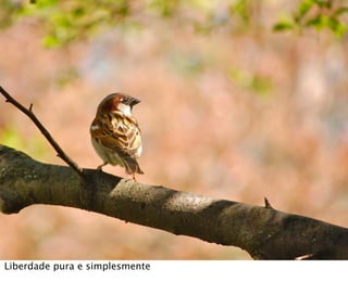 Liberdade pura e simplesmente
 