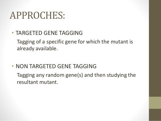 transposon tagging