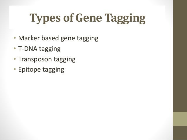 transposon tagging