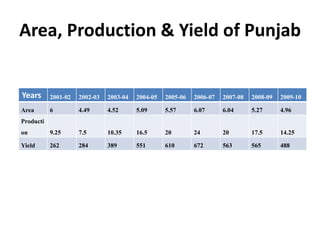 Area, Production & Yield of Punjab