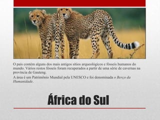 África do Sul
O país contém alguns dos mais antigos sítios arqueológicos e fósseis humanos do
mundo. Vários restos fósseis foram recuperados a partir de uma série de cavernas na
província de Gauteng.
A área é um Patrimônio Mundial pela UNESCO e foi denominada o Berço da
Humanidade.
 