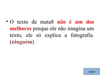 mata8 O texto de mata8  não é um dos melhores   porque ele não imagina um texto, ele só explica a fotografia. ( ninguém ) 