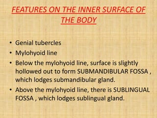 FEATURES ON THE INNER SURFACE OF
THE BODY
• Genial tubercles
• Mylohyoid line
• Below the mylohyoid line, surface is slightly
hollowed out to form SUBMANDIBULAR FOSSA ,
which lodges submandibular gland.
• Above the mylohyoid line, there is SUBLINGUAL
FOSSA , which lodges sublingual gland.
 